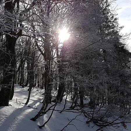 L'Idéal Gérardmer Extérieur photo