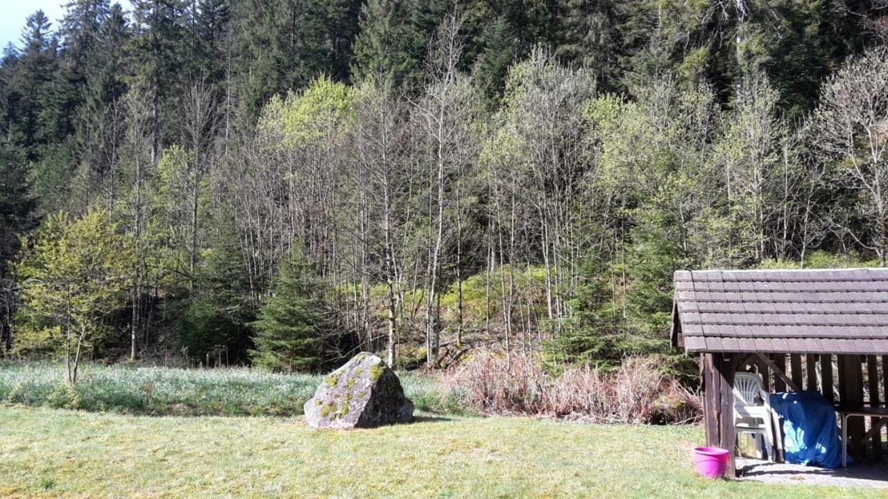 L'Idéal Gérardmer Extérieur photo