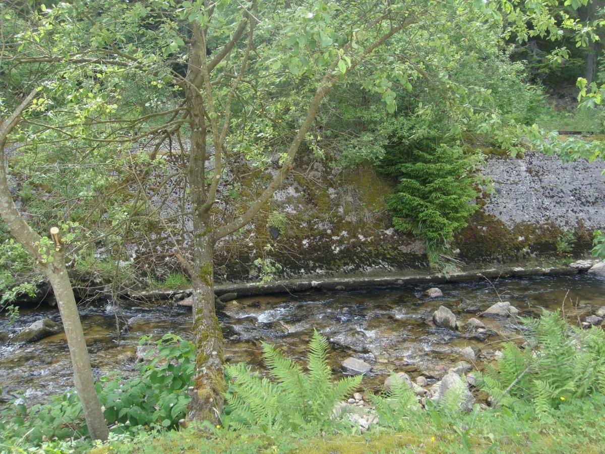 L'Idéal Gérardmer Extérieur photo