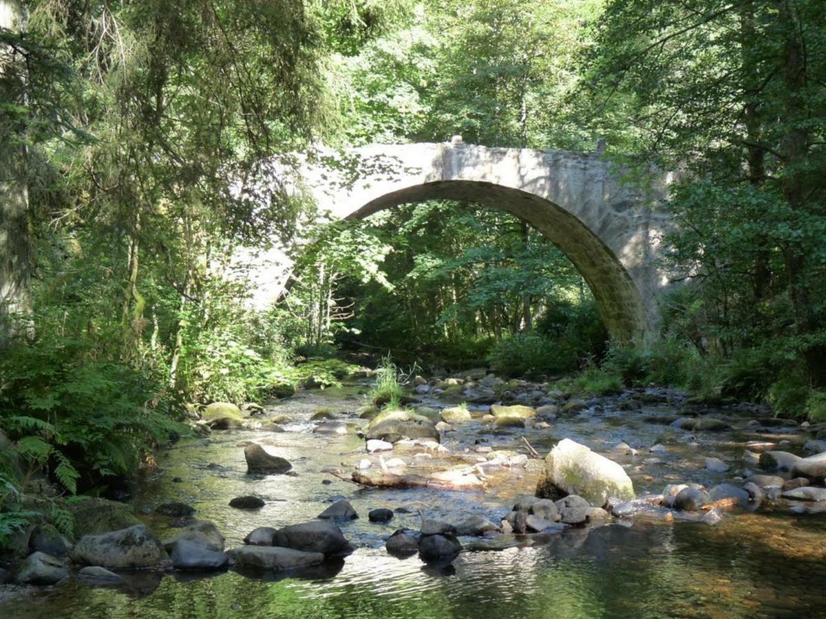 L'Idéal Gérardmer Extérieur photo